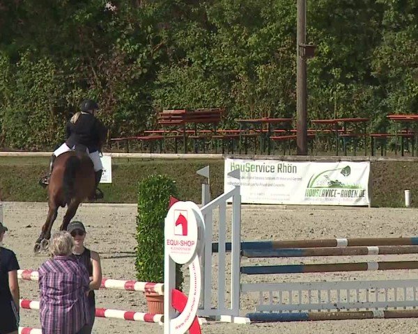 Reitturnier Großbardorf/Ufr. 2024