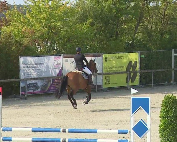 Reitturnier Großbardorf/Ufr. 2024