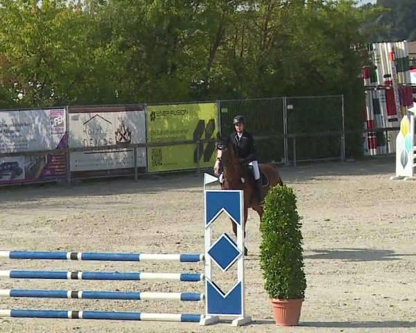 Reitturnier Großbardorf/Ufr. 2024