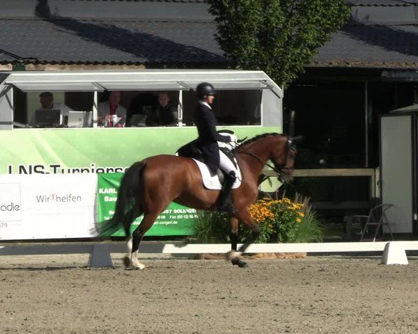Reitturnier Solingen 2024