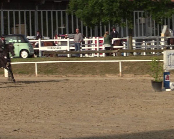 Reitturnier Werne 2024