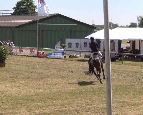 Nord-Ost-Pferd 2013