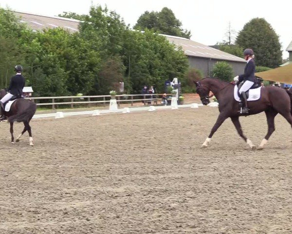Reitturnier Kleinsolter Turniertage 2024