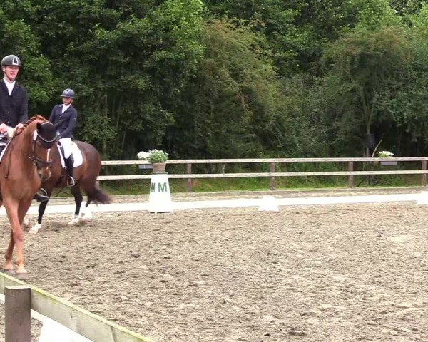 Reitturnier Kleinsolter Turniertage 2024