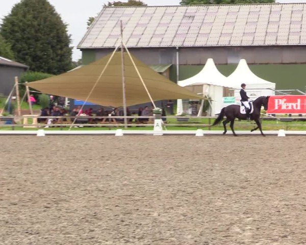 Reitturnier Kleinsolter Turniertage 2024