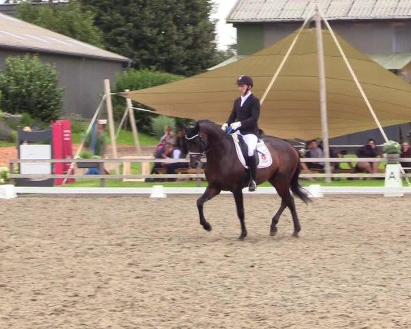 Reitturnier Kleinsolter Turniertage 2024