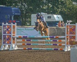 jumper Ceks vom Mörkenhof (German Riding Pony, 2019, from Crown Cheesecake)
