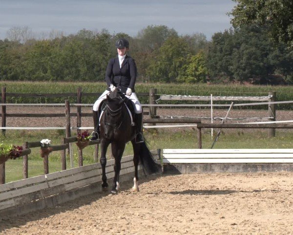 Reitturnier Ostbevern 2024