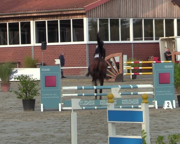Reitturnier Werne 2024
