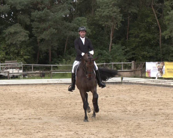 Reitturnier Ostbevern 2024