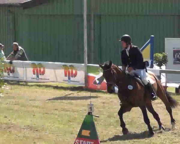 Reitturnier Rendsburg 2013