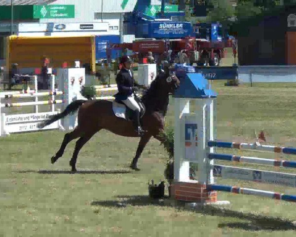 Reitturnier Rendsburg 2013