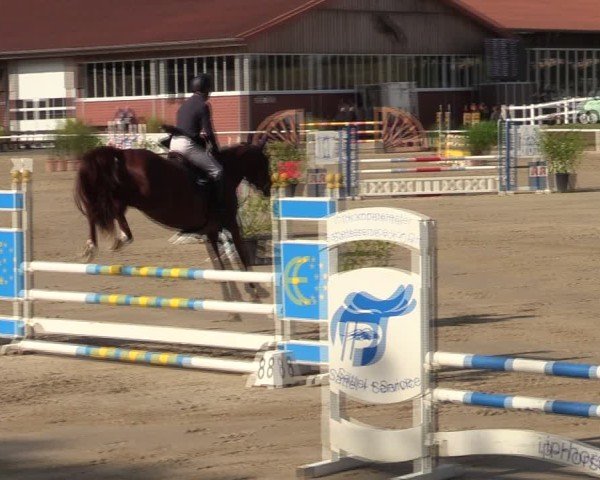 Reitturnier Werne 2024