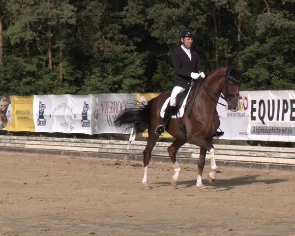 Reitturnier Ostbevern 2024