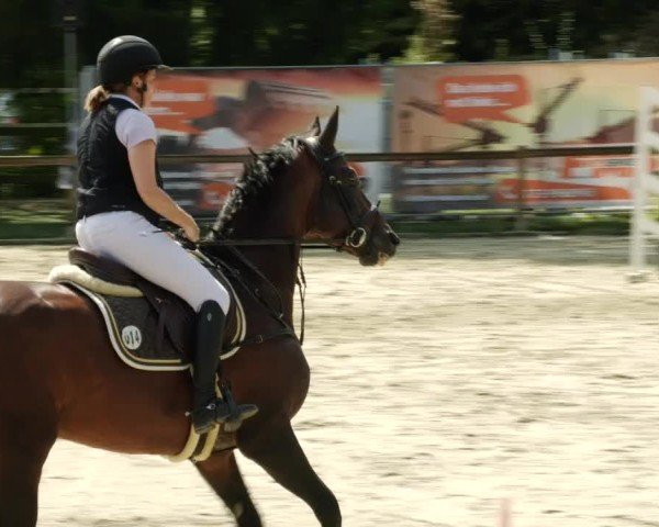 Reitturnier Walldorf/Winterheck 2024