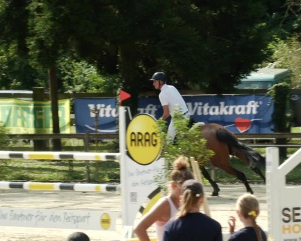 Reitturnier Walldorf/Winterheck 2024