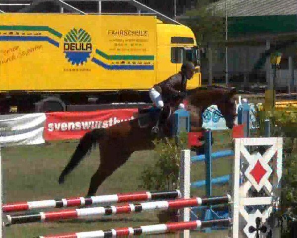 Reitturnier Rendsburg 2013