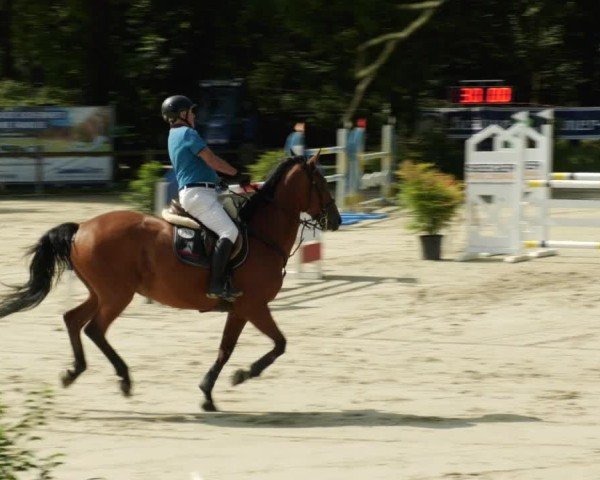 Reitturnier Walldorf/Winterheck 2024