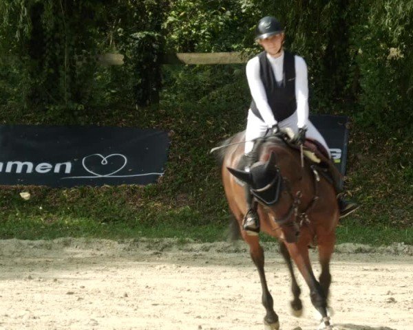 Reitturnier Walldorf/Winterheck 2024