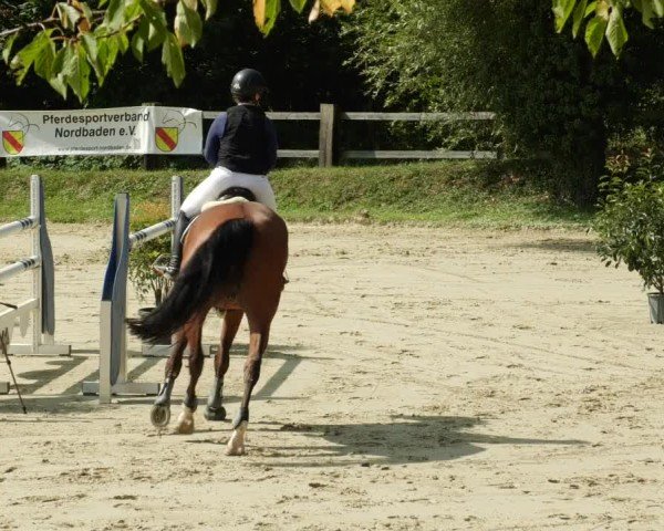 Reitturnier Walldorf/Winterheck 2024