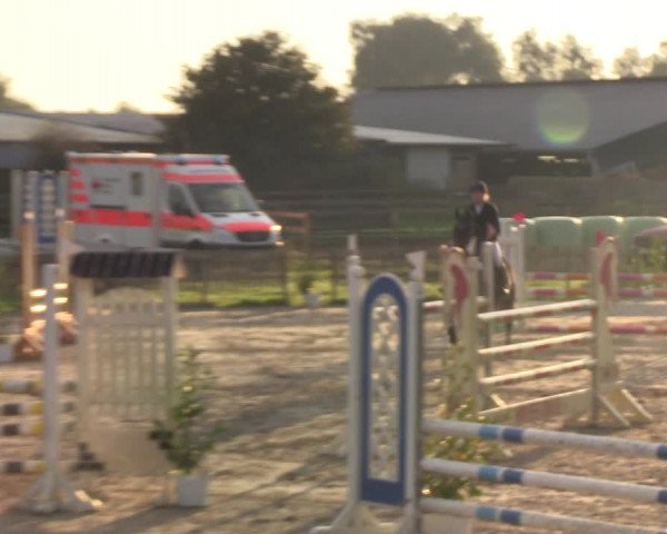 Reitturnier Schülp / Rendsburg 2021