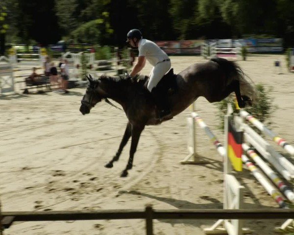Reitturnier Walldorf/Winterheck 2024