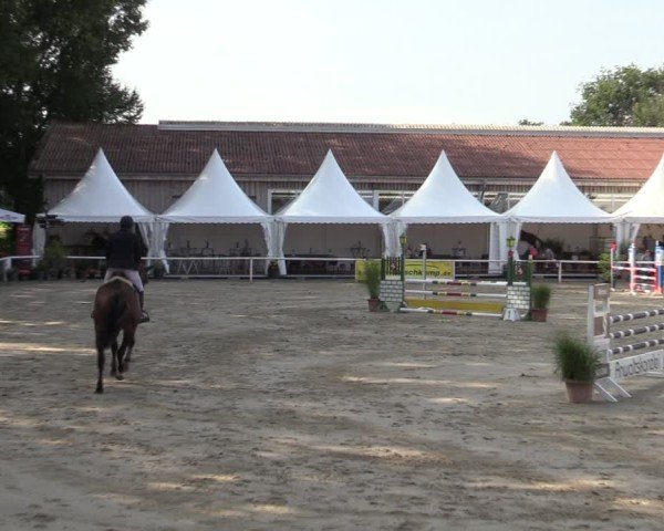 Reitturnier Werne 2024