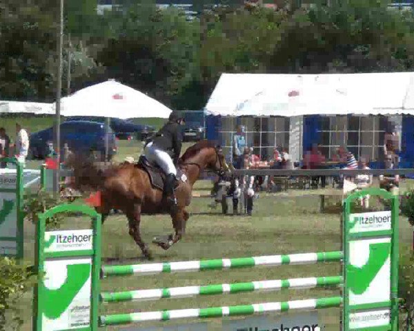 Nord-Ost-Pferd 2013