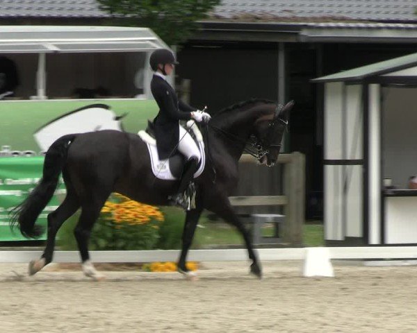 Reitturnier Solingen 2024