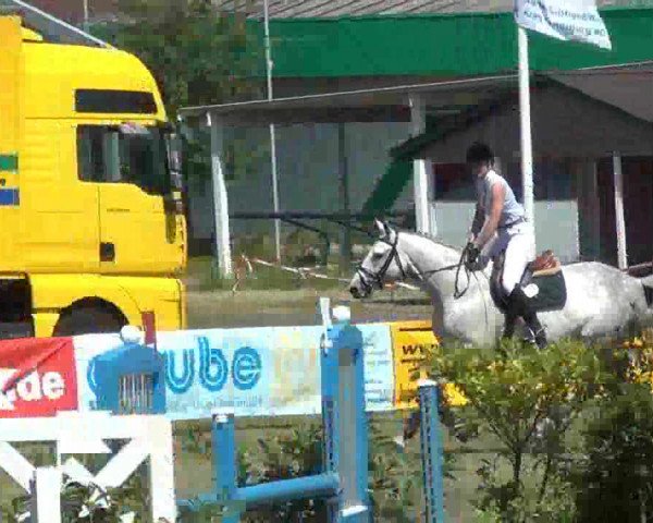 Nord-Ost-Pferd 2013