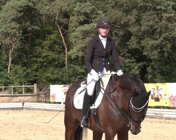 Reitturnier Ostbevern 2024