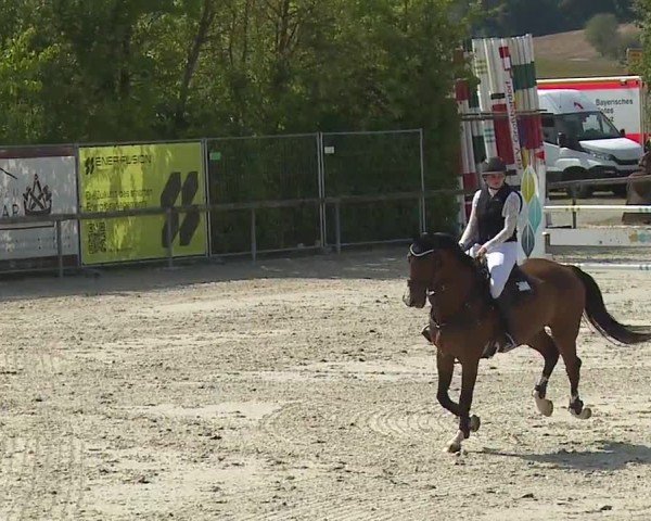 Reitturnier Großbardorf/Ufr. 2024