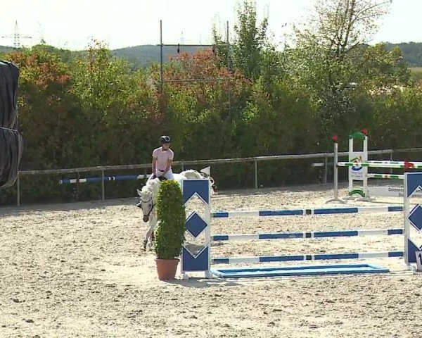 Reitturnier Großbardorf/Ufr. 2024