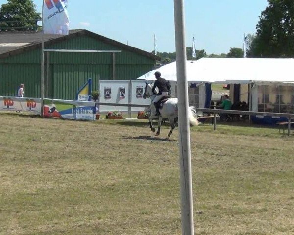Reitturnier Rendsburg 2013
