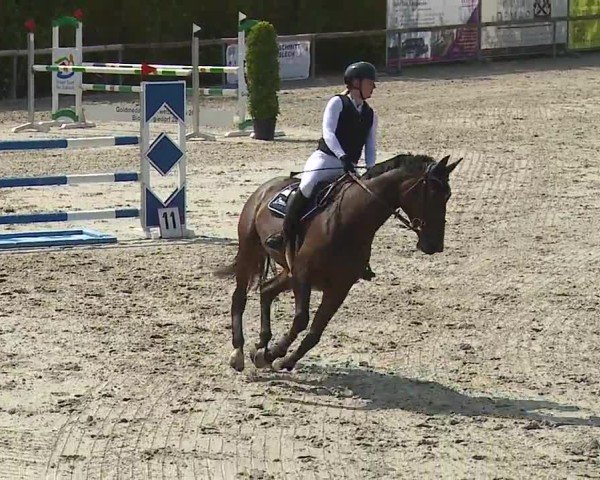 Reitturnier Großbardorf/Ufr. 2024