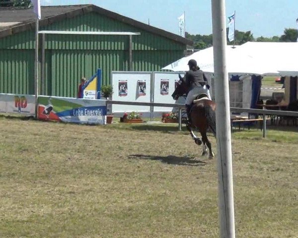 Nord-Ost-Pferd 2013