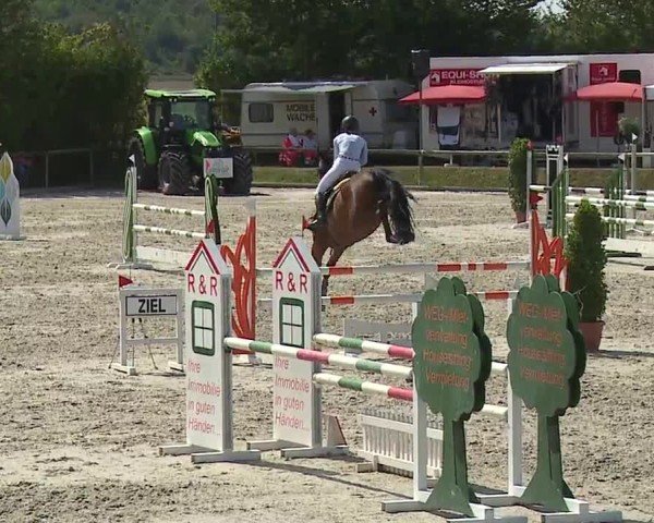 Reitturnier Großbardorf/Ufr. 2024