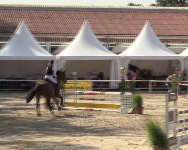 Reitturnier Werne 2024