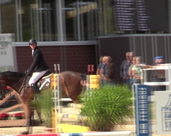 Reitturnier Werne 2024