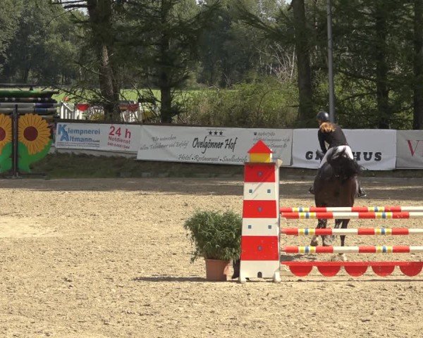 Reitturnier Sieversen - Rosengarten 2024