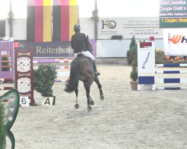 Reitturnier Karlsfeld/Obb. 2021