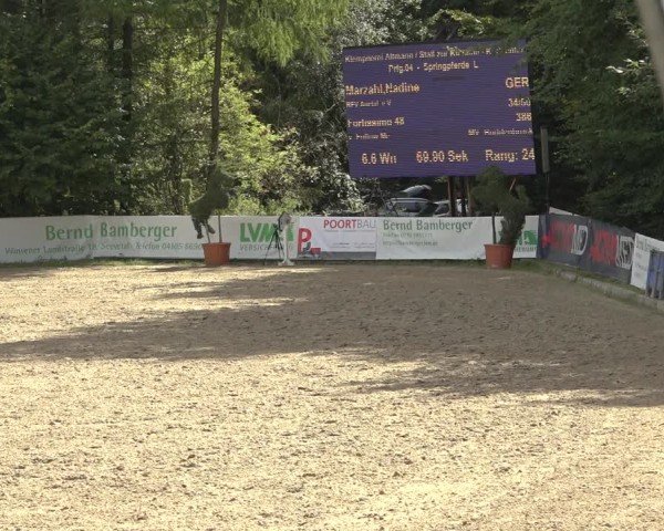 Reitturnier Sieversen - Rosengarten 2024