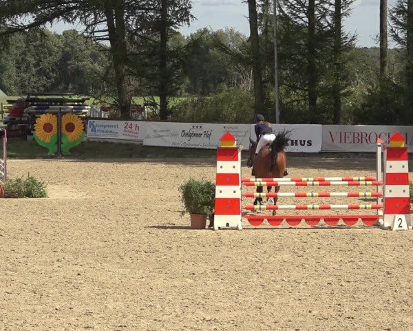 Reitturnier Sieversen - Rosengarten 2024