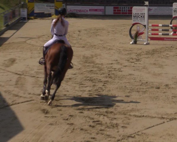 Reitturnier Duderstadt 2024