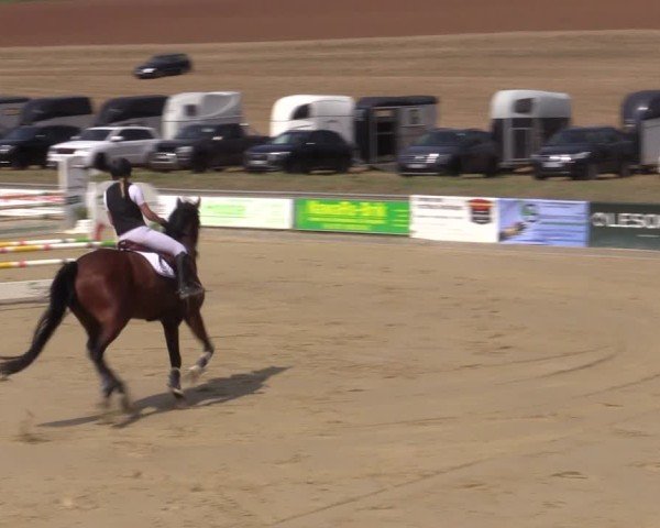 Reitturnier Duderstadt 2024