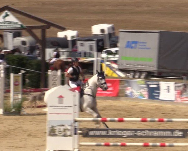Reitturnier Duderstadt 2024
