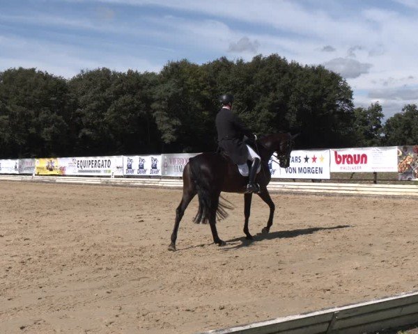 Reitturnier Ostbevern 2024