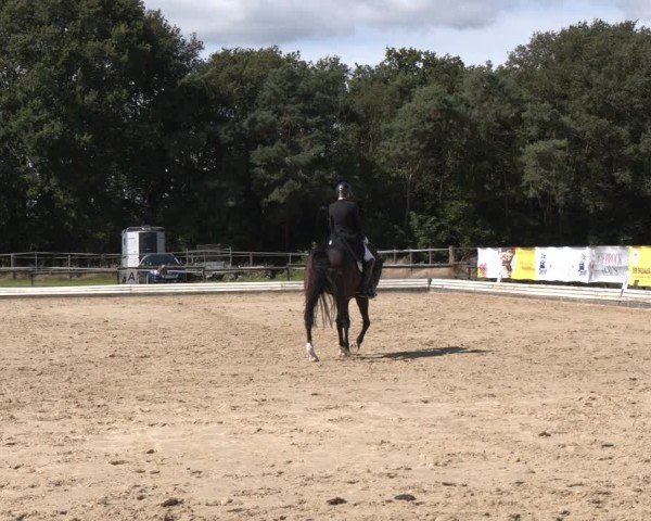Reitturnier Ostbevern 2024