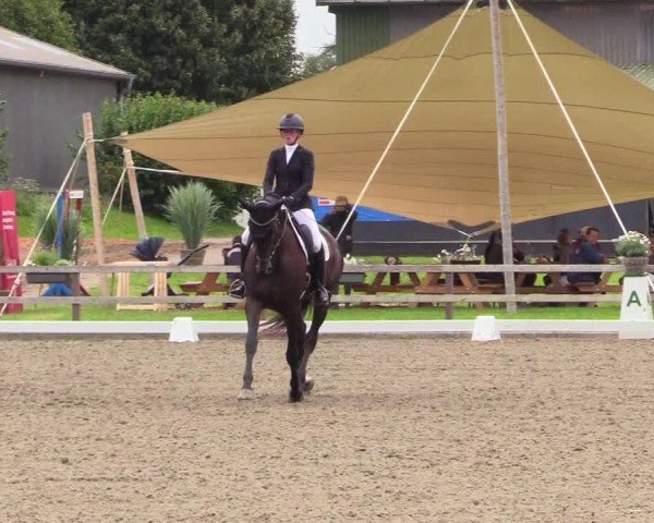Reitturnier Kleinsolter Turniertage 2024