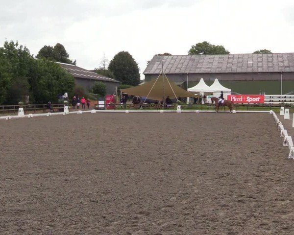 Reitturnier Kleinsolter Turniertage 2024
